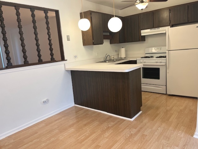 5733 W 103rd Street #1W, Oak Lawn, IL 60453