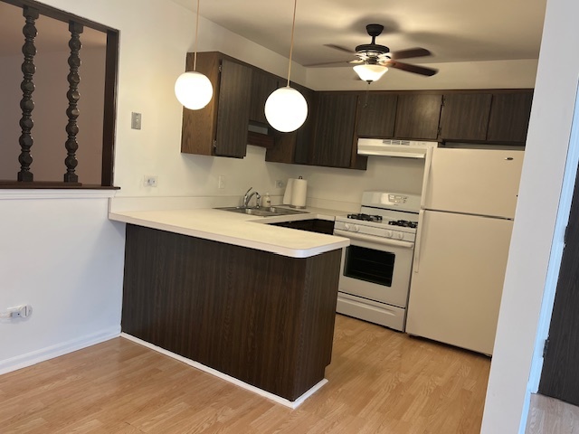 5733 W 103rd Street #1W, Oak Lawn, IL 60453