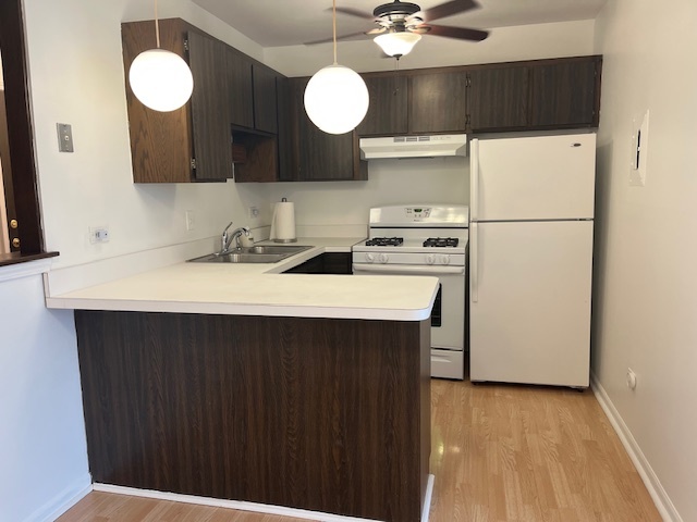5733 W 103rd Street #1W, Oak Lawn, IL 60453