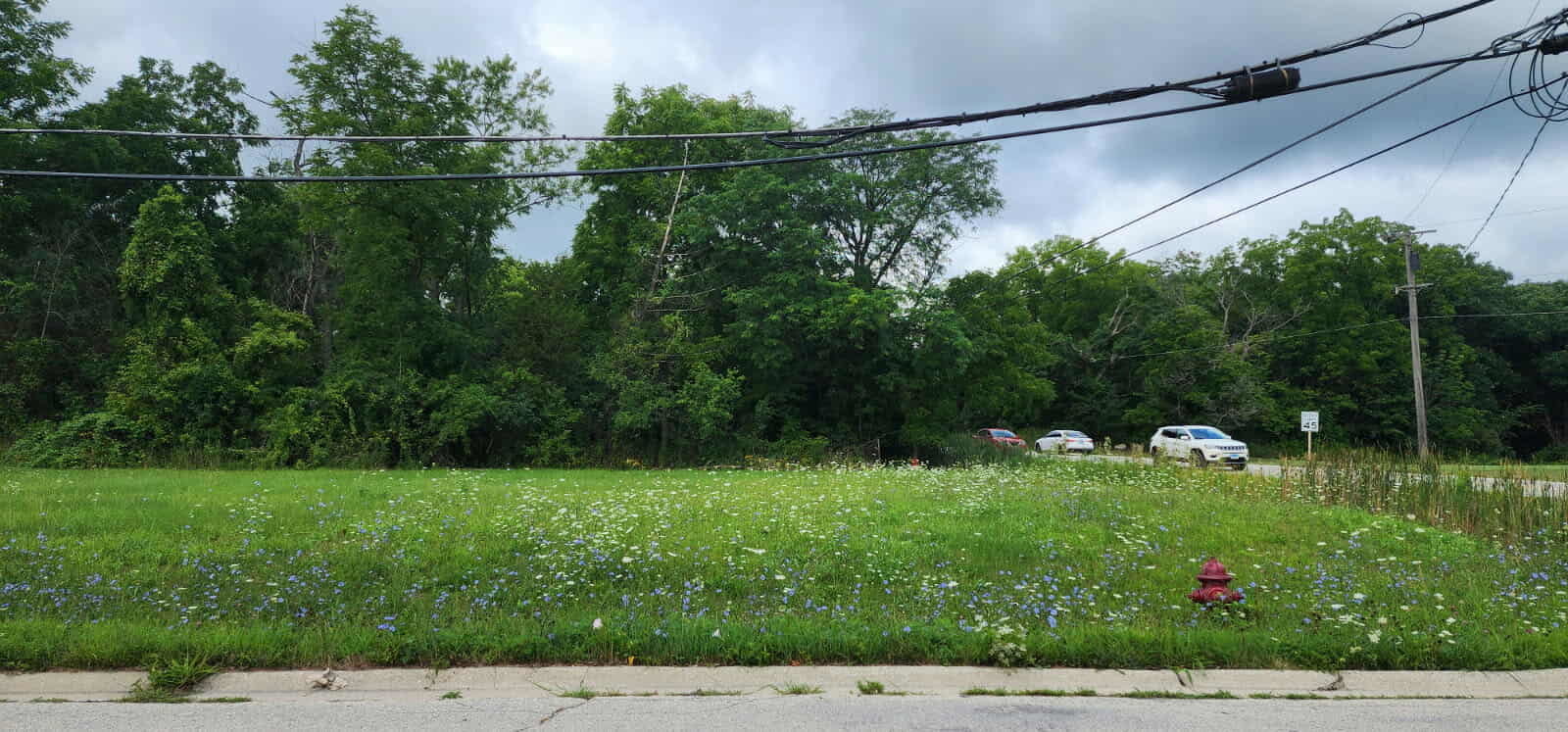 1273 W Dundee Road, Palatine, IL 60074