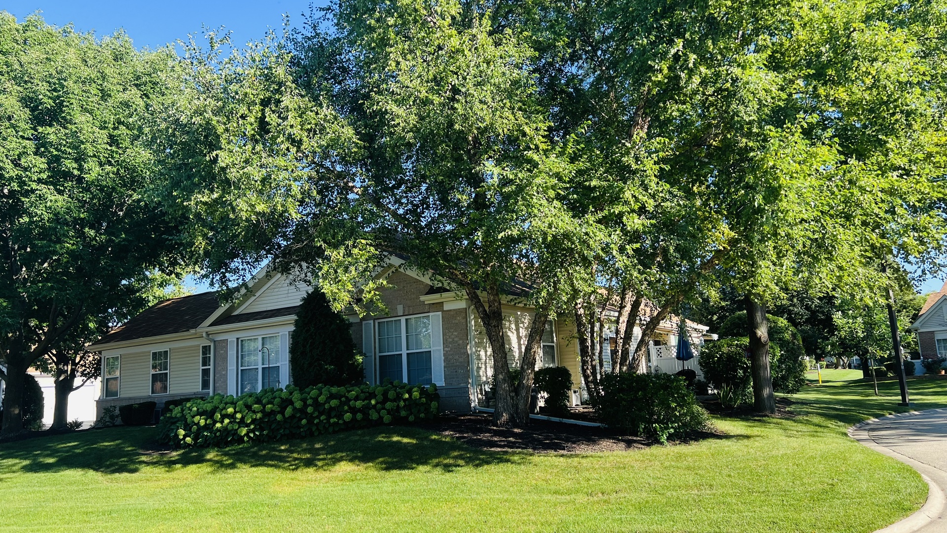 21521 W Douglas Lane, Plainfield, IL 60544