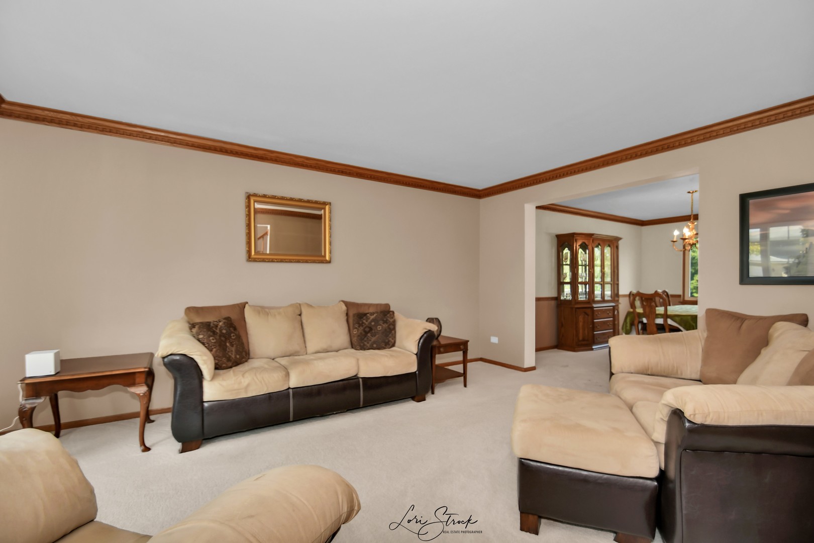 19407 Cherry Street, Mokena, IL 60448