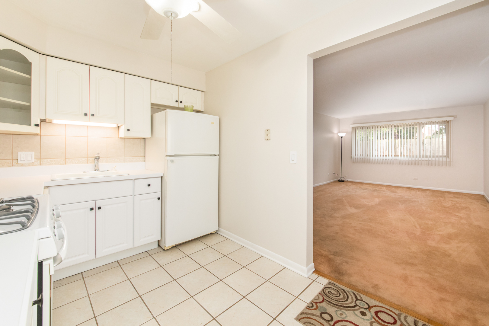 1363 Perry Street #1B, Des Plaines, IL 60016