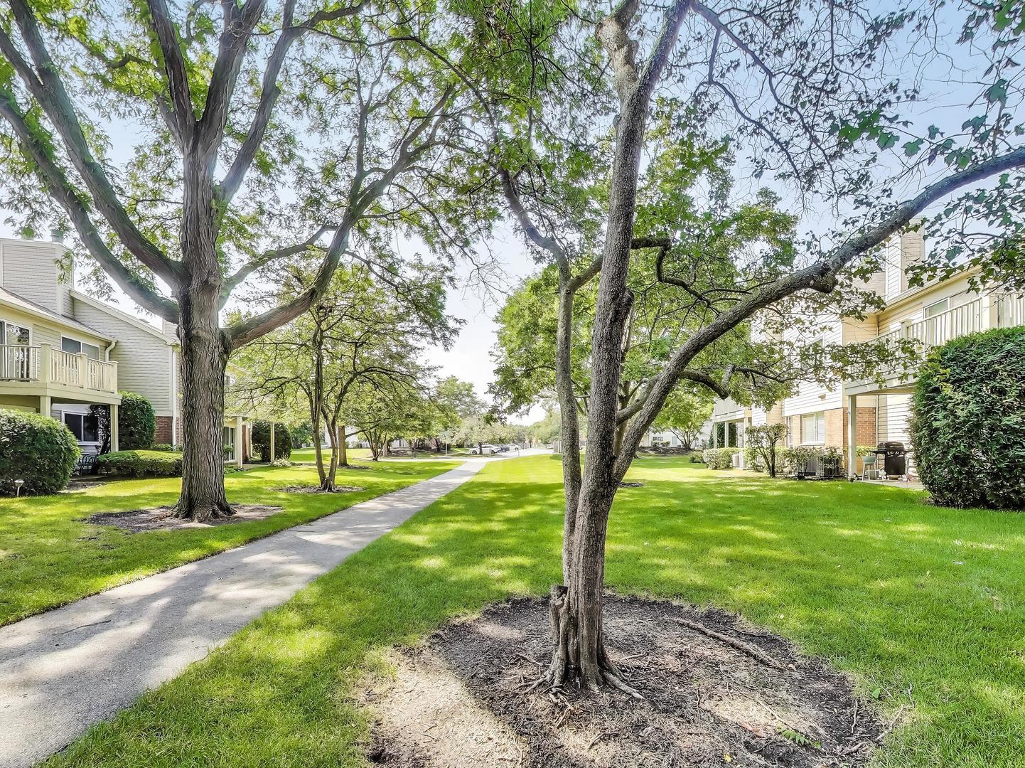 1510 Canbury Court #A1, Wheeling, IL 60090