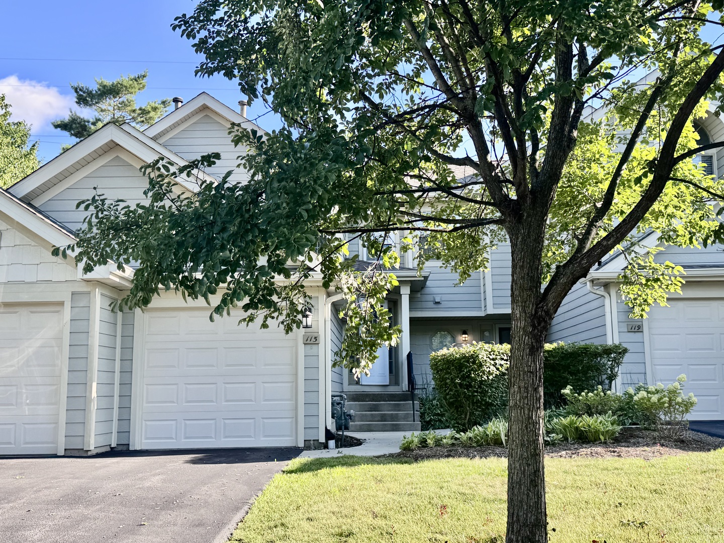 115 HAMILTON Drive #115, Palatine, IL 60067