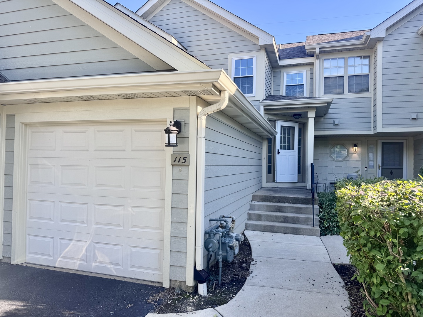 115 HAMILTON Drive #115, Palatine, IL 60067