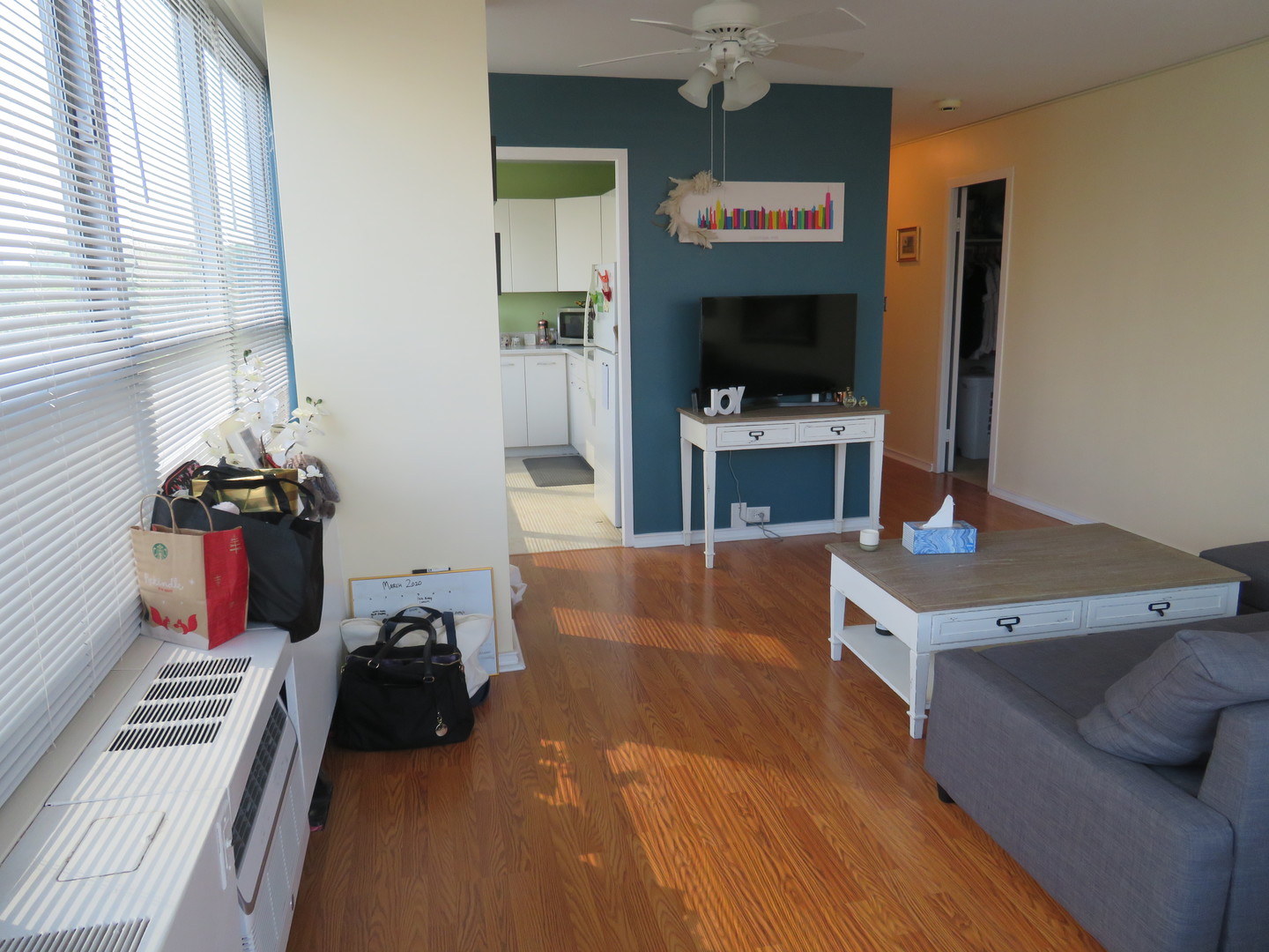 3550 N Lake Shore Drive #413, Chicago, IL 60657