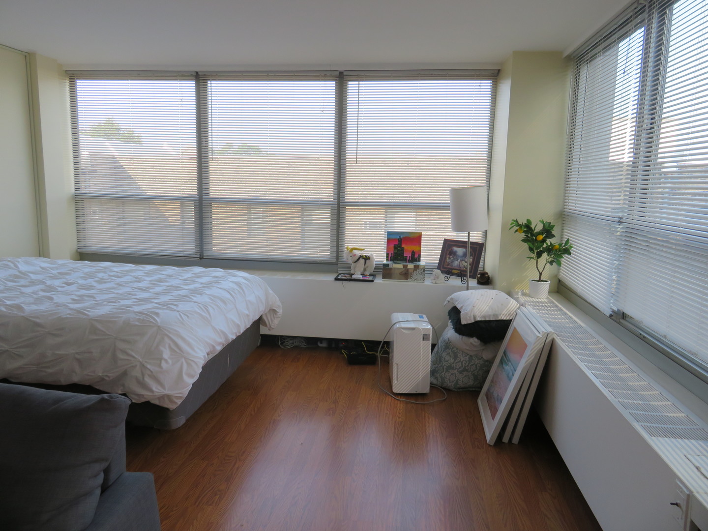 3550 N Lake Shore Drive #413, Chicago, IL 60657