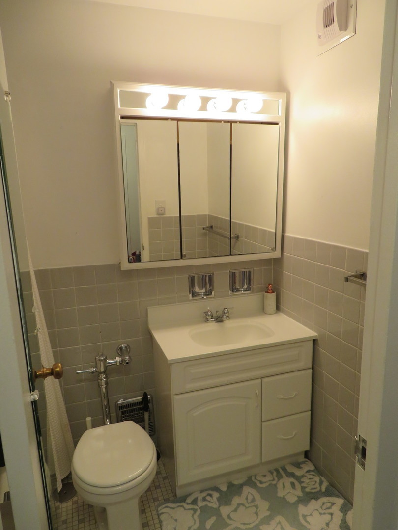 3550 N Lake Shore Drive #413, Chicago, IL 60657