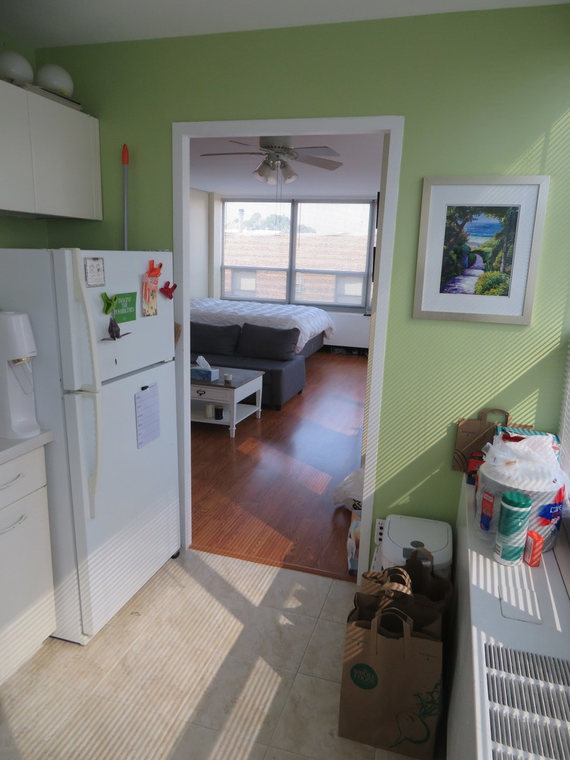 3550 N Lake Shore Drive #413, Chicago, IL 60657