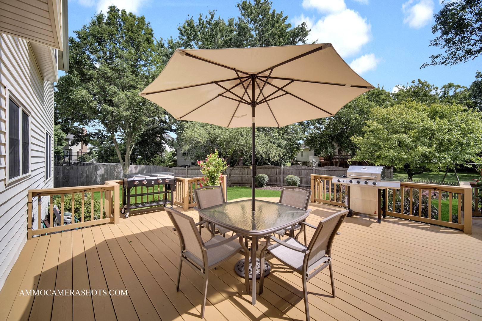 92 Salt River Court, Naperville, IL 60565