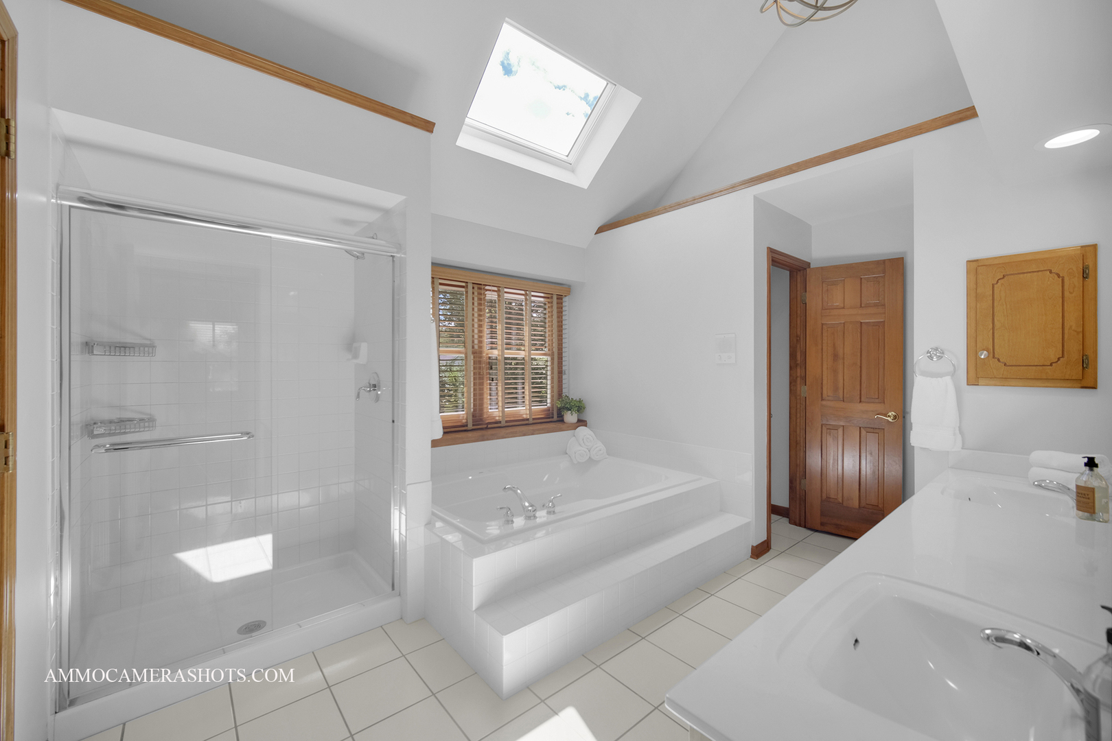 92 Salt River Court, Naperville, IL 60565