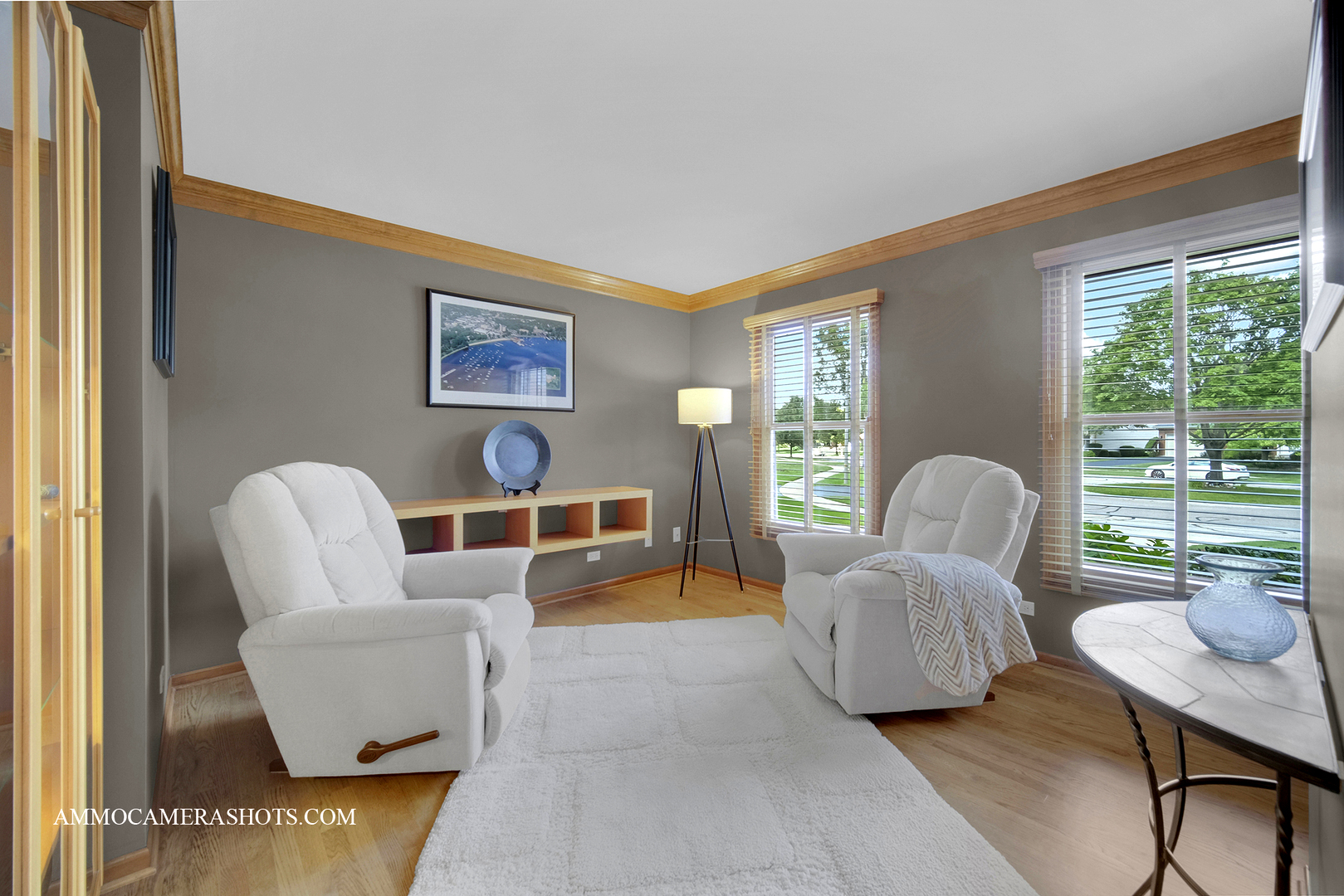 92 Salt River Court, Naperville, IL 60565