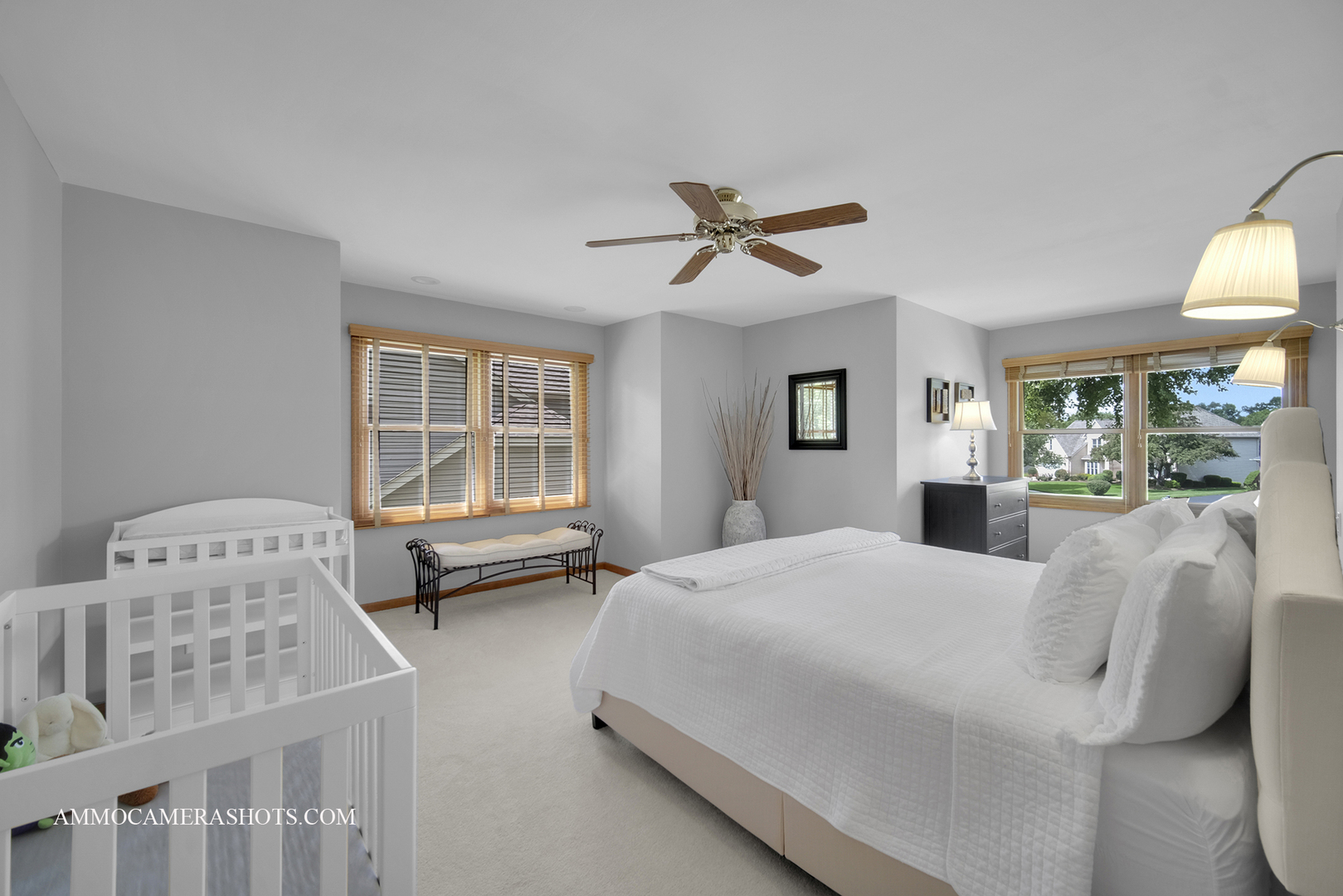 92 Salt River Court, Naperville, IL 60565
