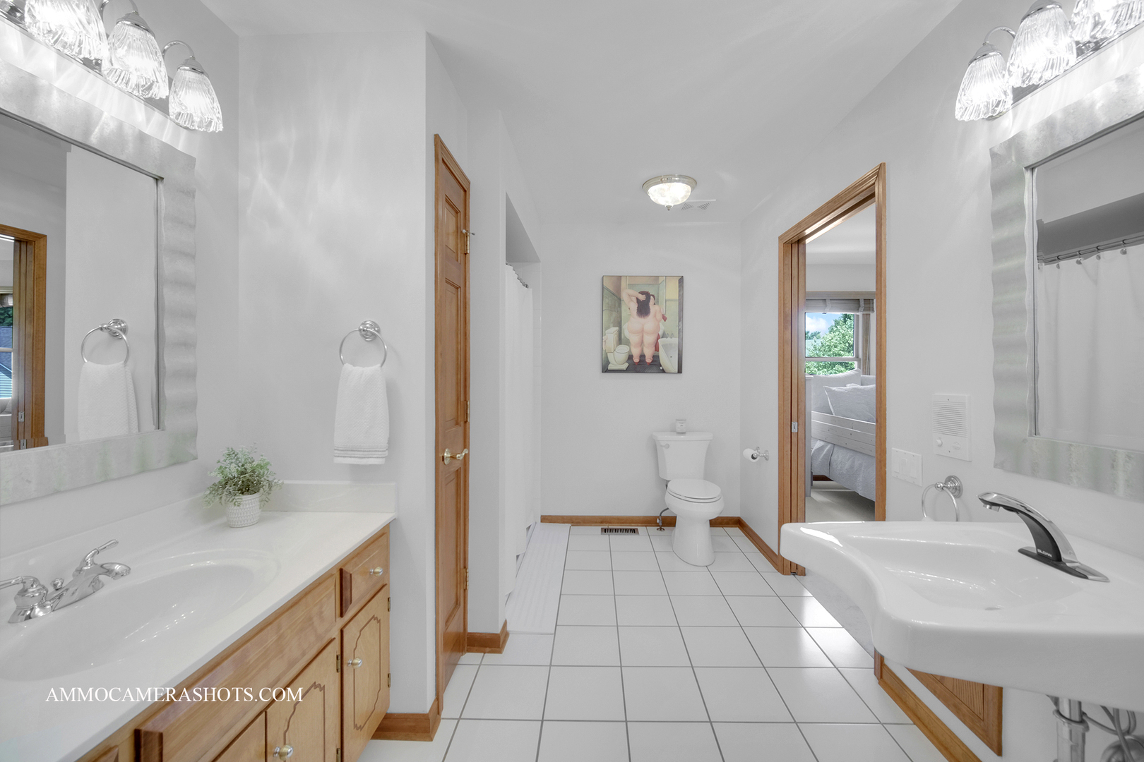 92 Salt River Court, Naperville, IL 60565