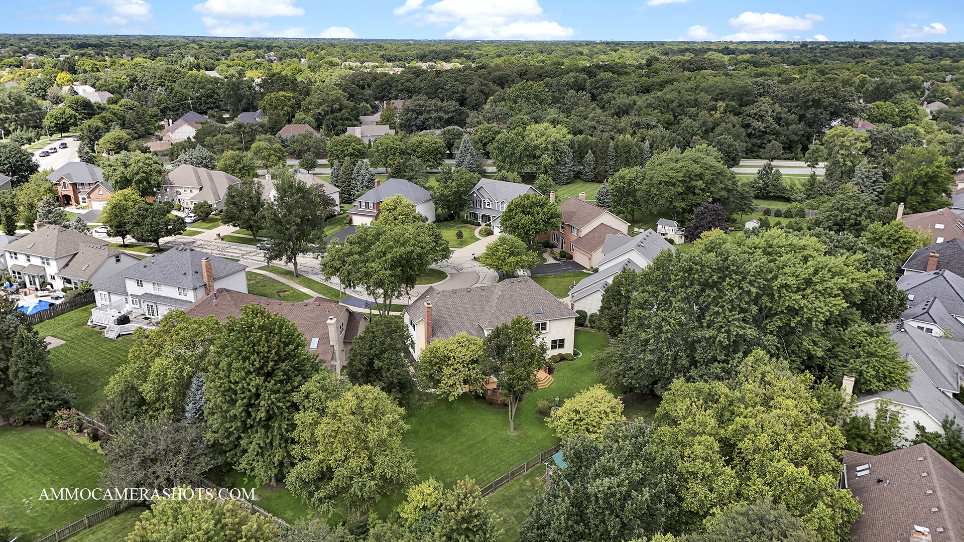 92 Salt River Court, Naperville, IL 60565