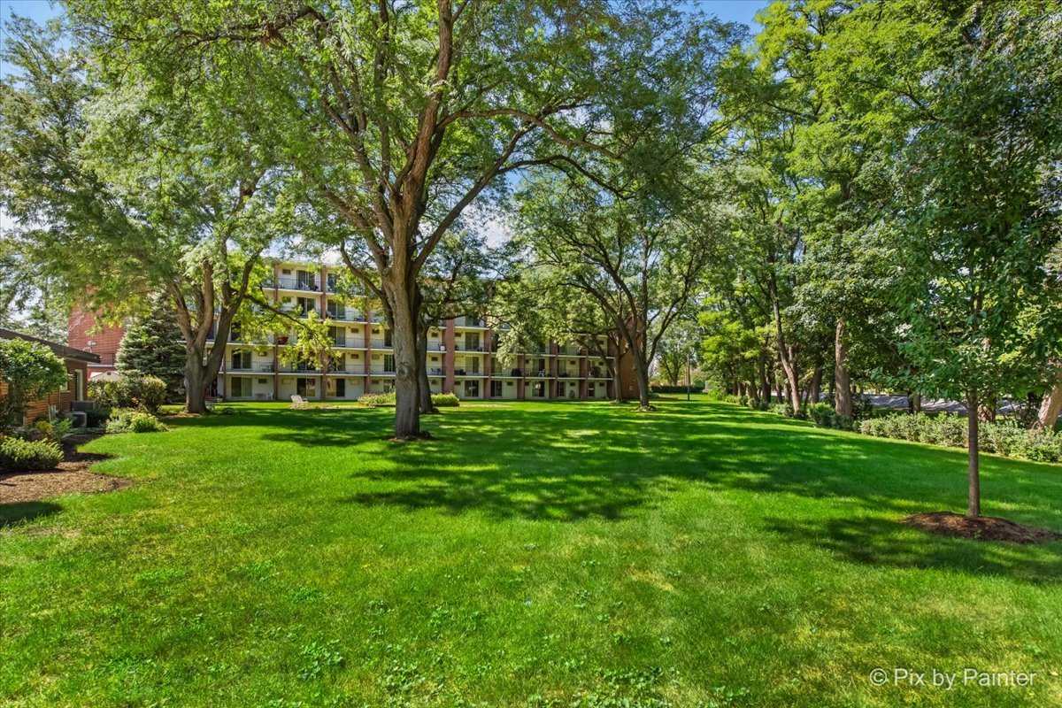 255 S West Avenue #308, Elmhurst, IL 60126