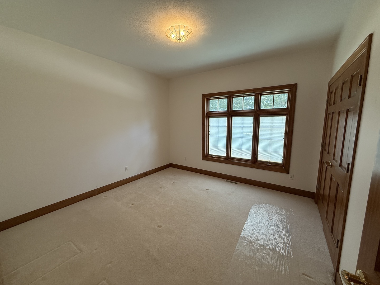893 S Oakland Avenue, Forsyth, IL 62535