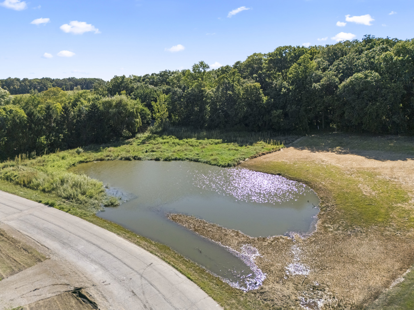 16604 Pine Hill Drive, Homer Glen, IL 60491