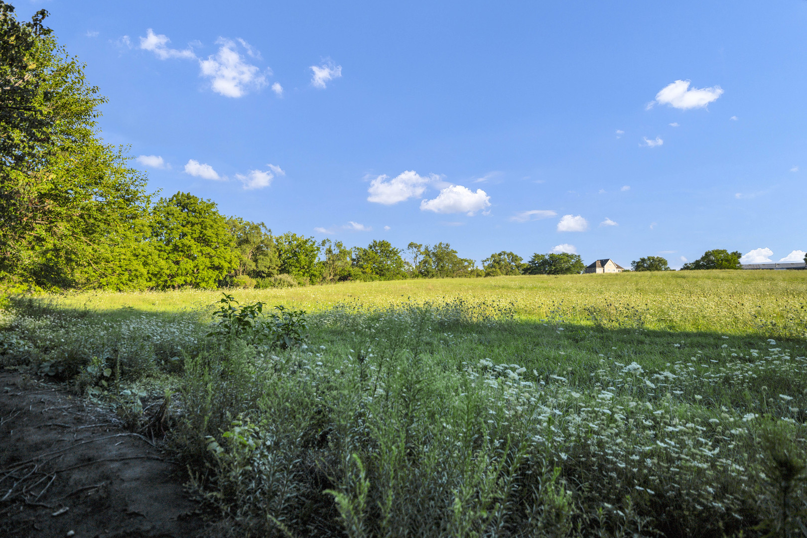 35W225 Crescent Drive, Dundee, IL 60118