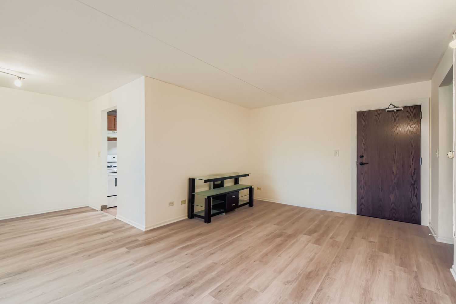 1463 MERCURY Drive #202, Schaumburg, IL 60193