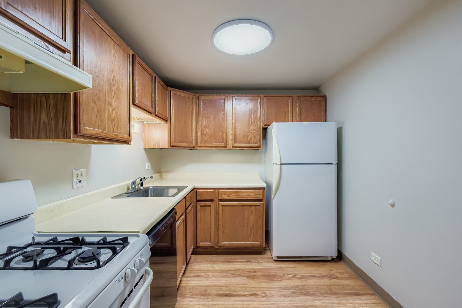 1463 MERCURY Drive #202, Schaumburg, IL 60193