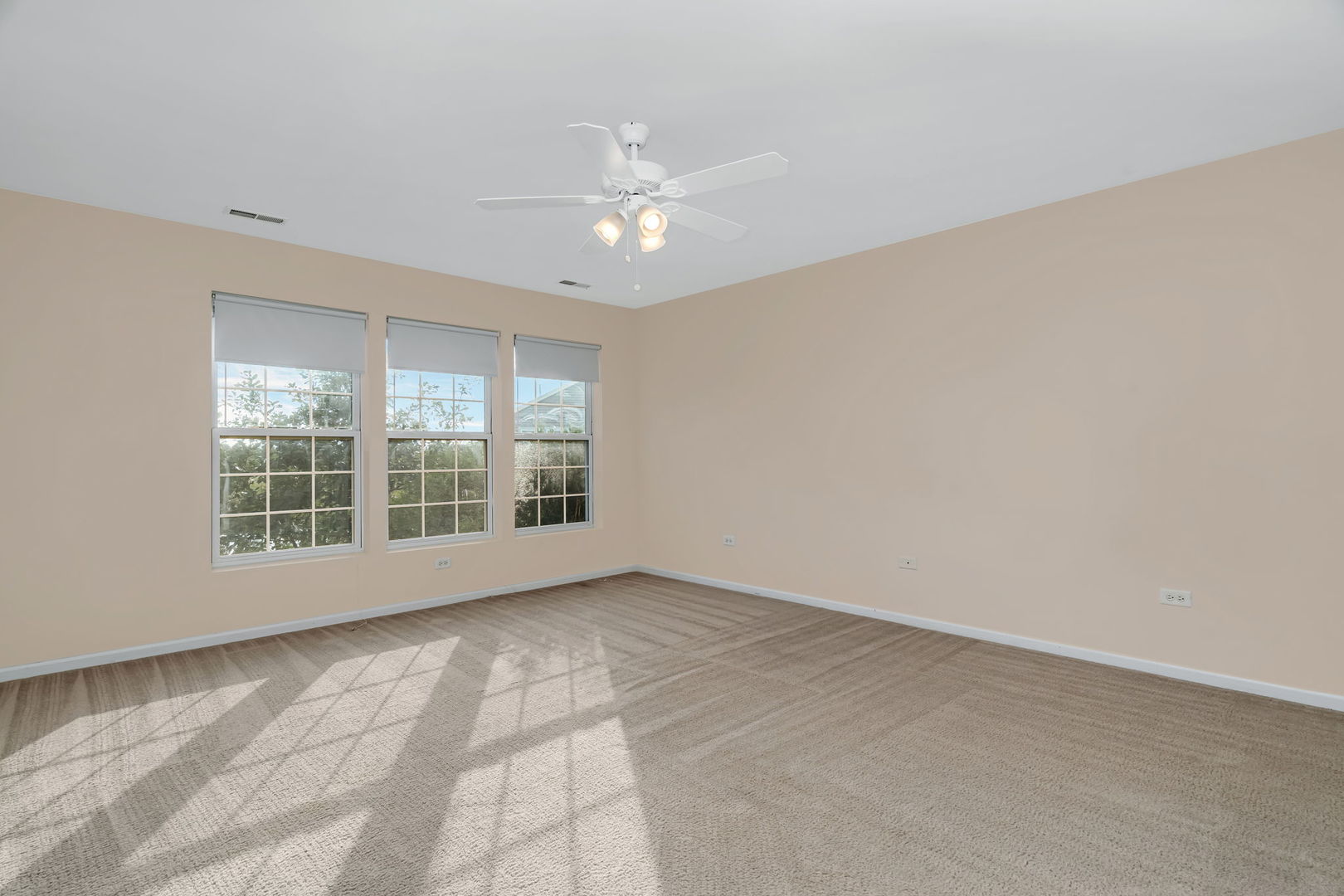 16947 S Timber Drive #16947, Lockport, IL 60441