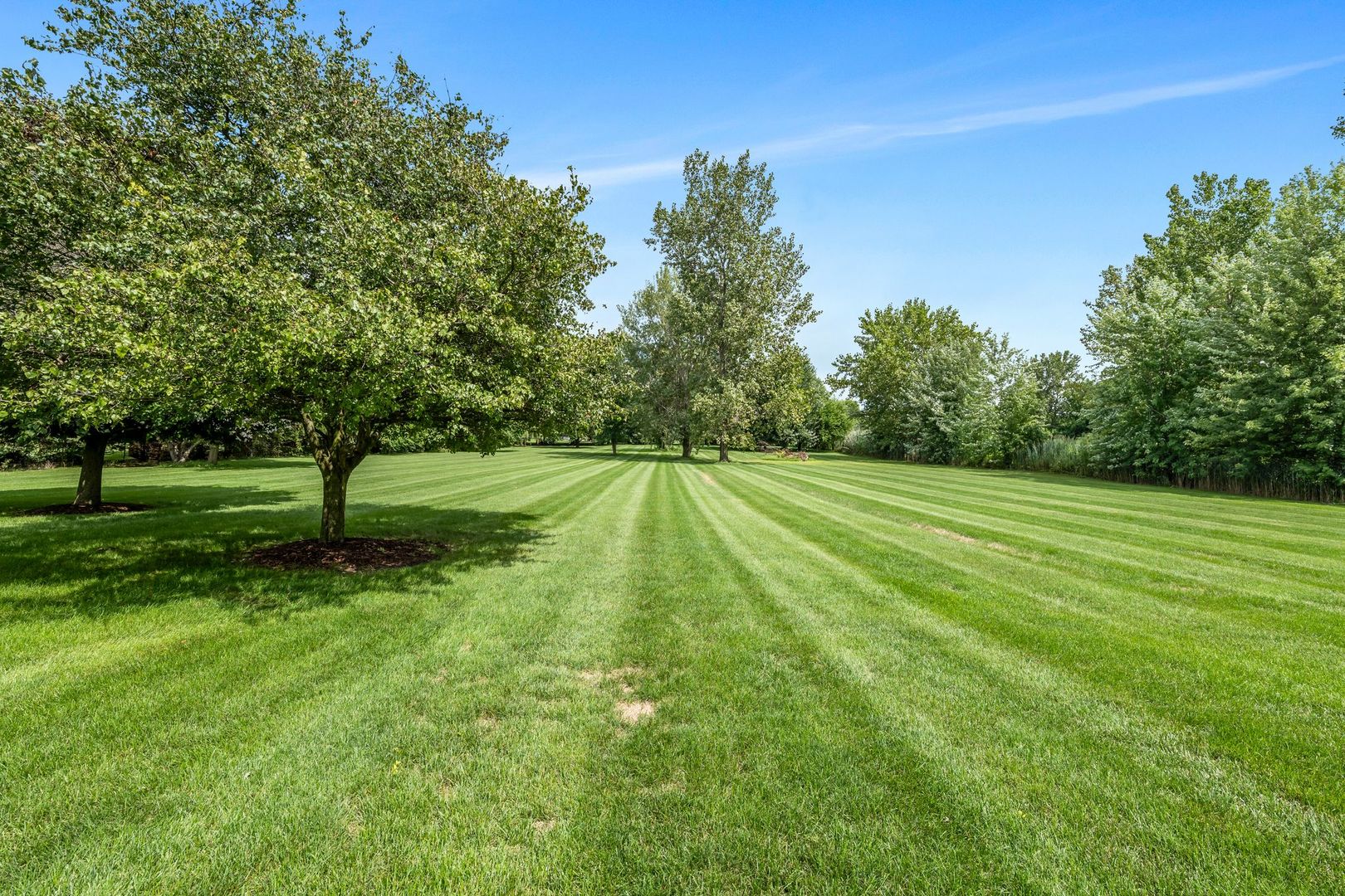 24031 S Schoolhouse Road, Manhattan, IL 60442