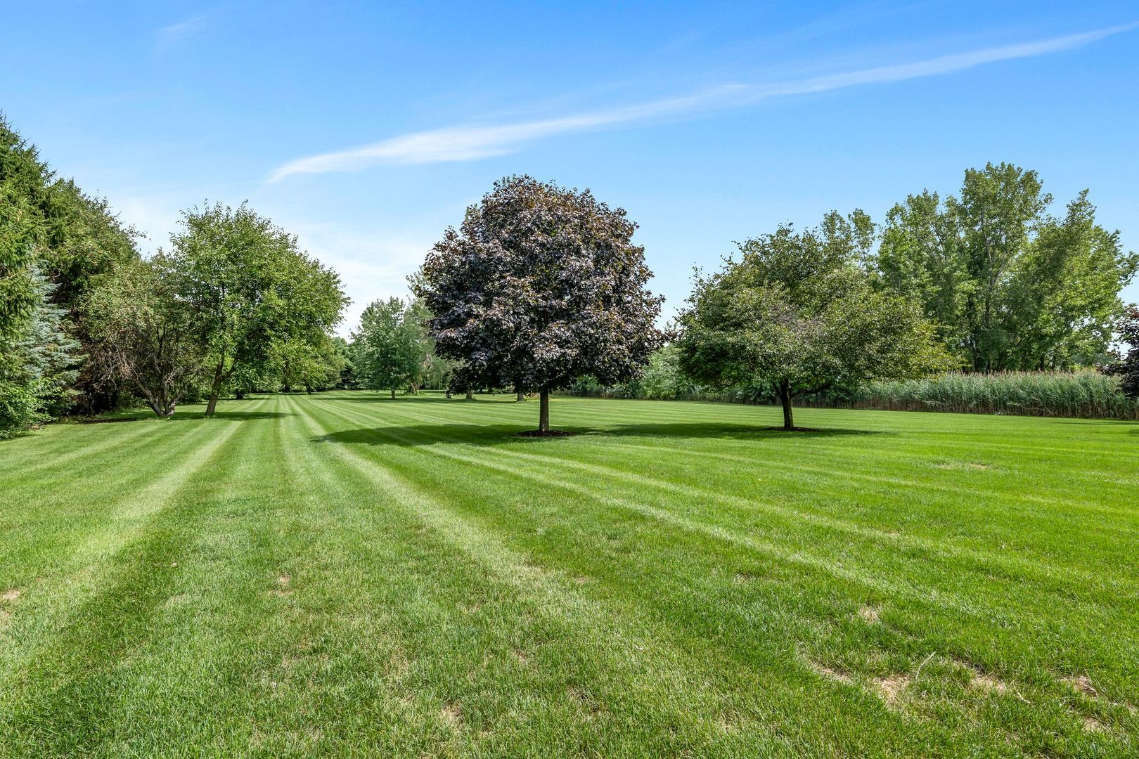 24031 S Schoolhouse Road, Manhattan, IL 60442