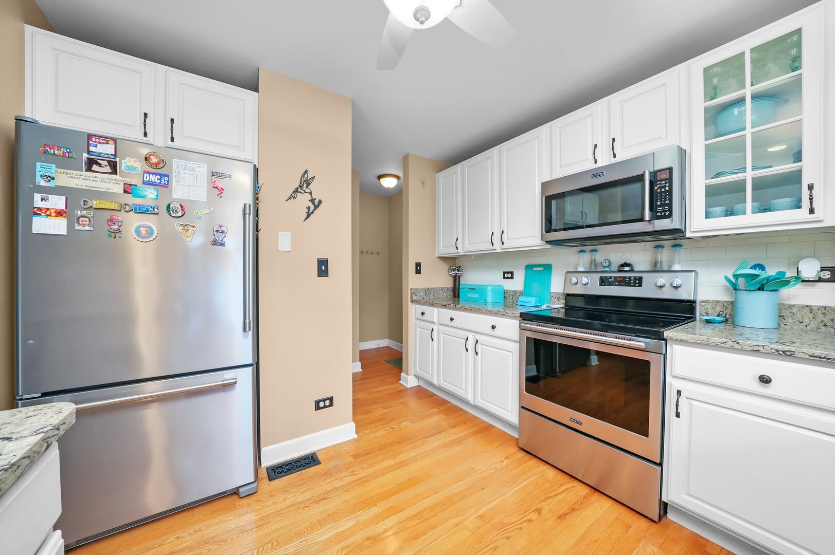 1163 E Plate Drive, Palatine, IL 60074
