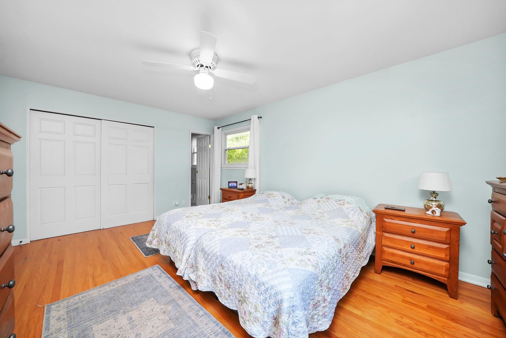 1163 E Plate Drive, Palatine, IL 60074