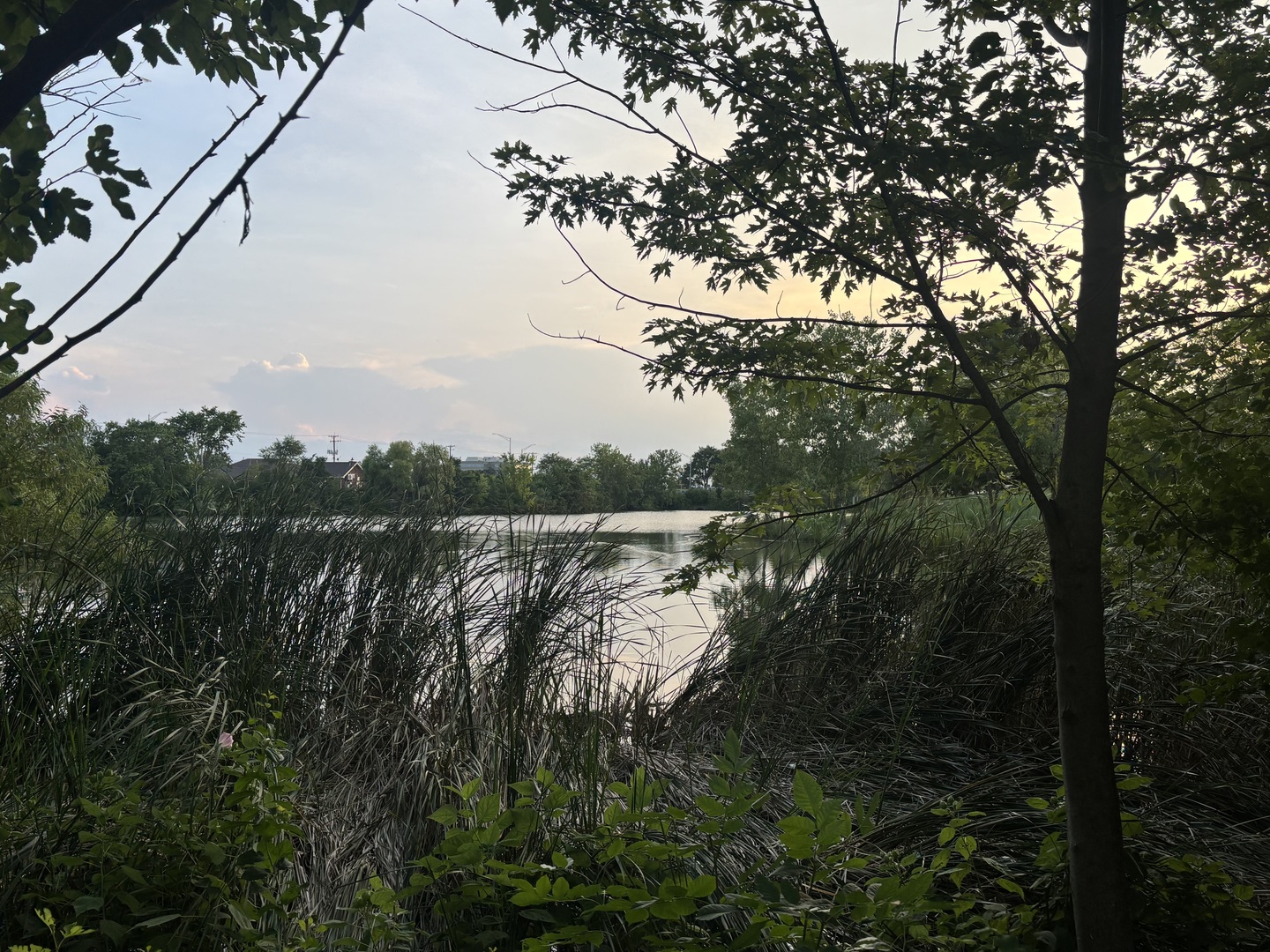 9061 Somerset Court #16, Orland Park, IL 60462