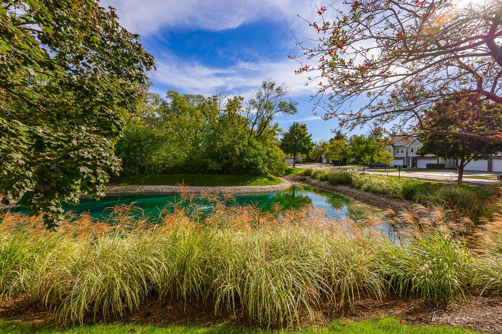 943 Willow Street, Itasca, IL 60143