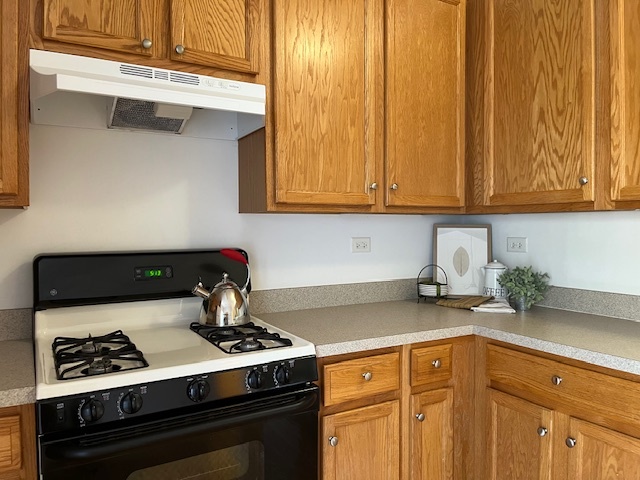 1122 N Claremont Drive, Palatine, IL 60074