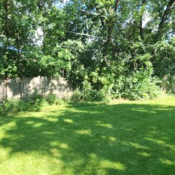 9317 S 82ND Avenue, Hickory Hills, IL 60457