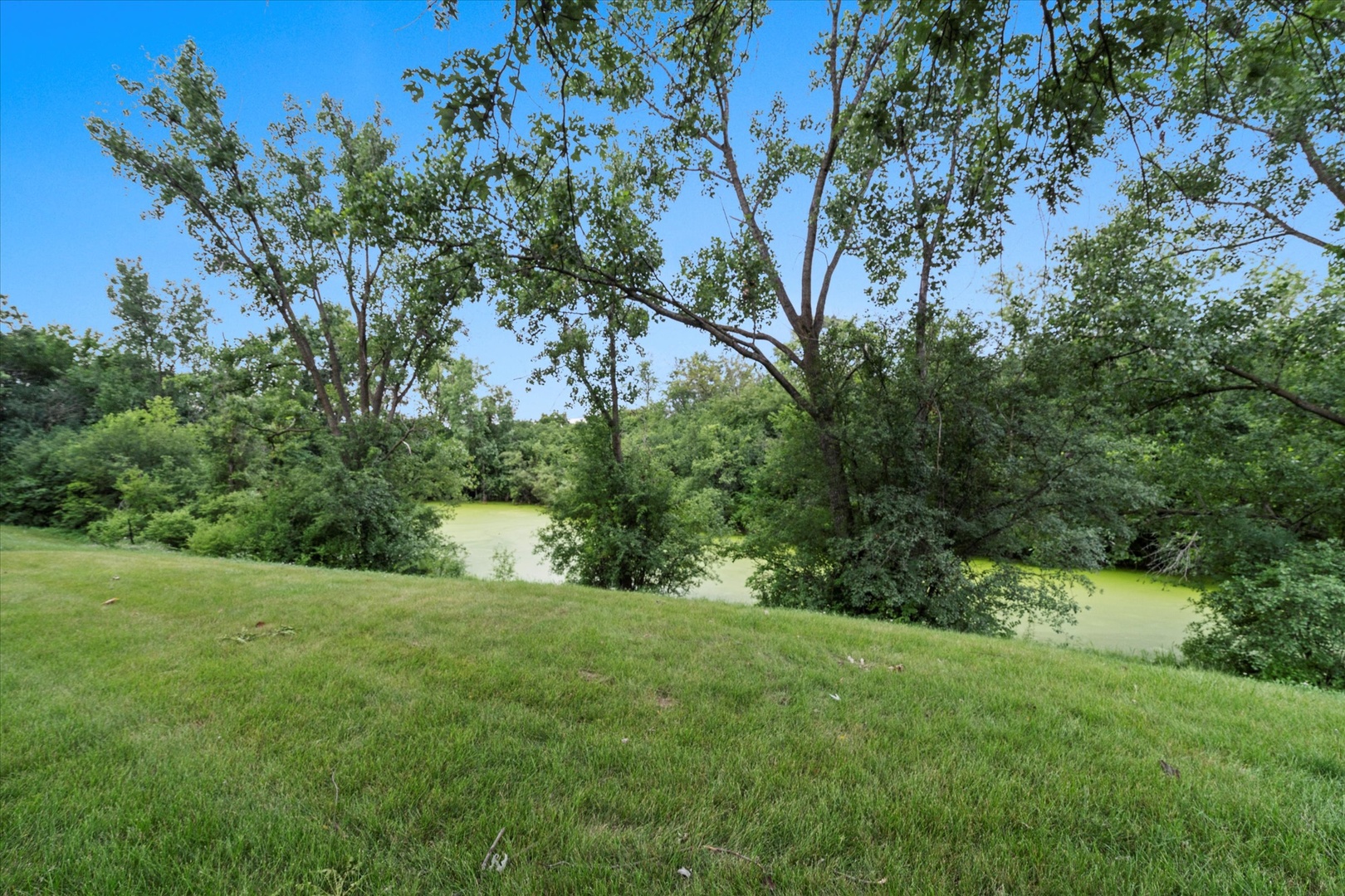 13456 W Red Coat Drive, Lemont, IL 60439