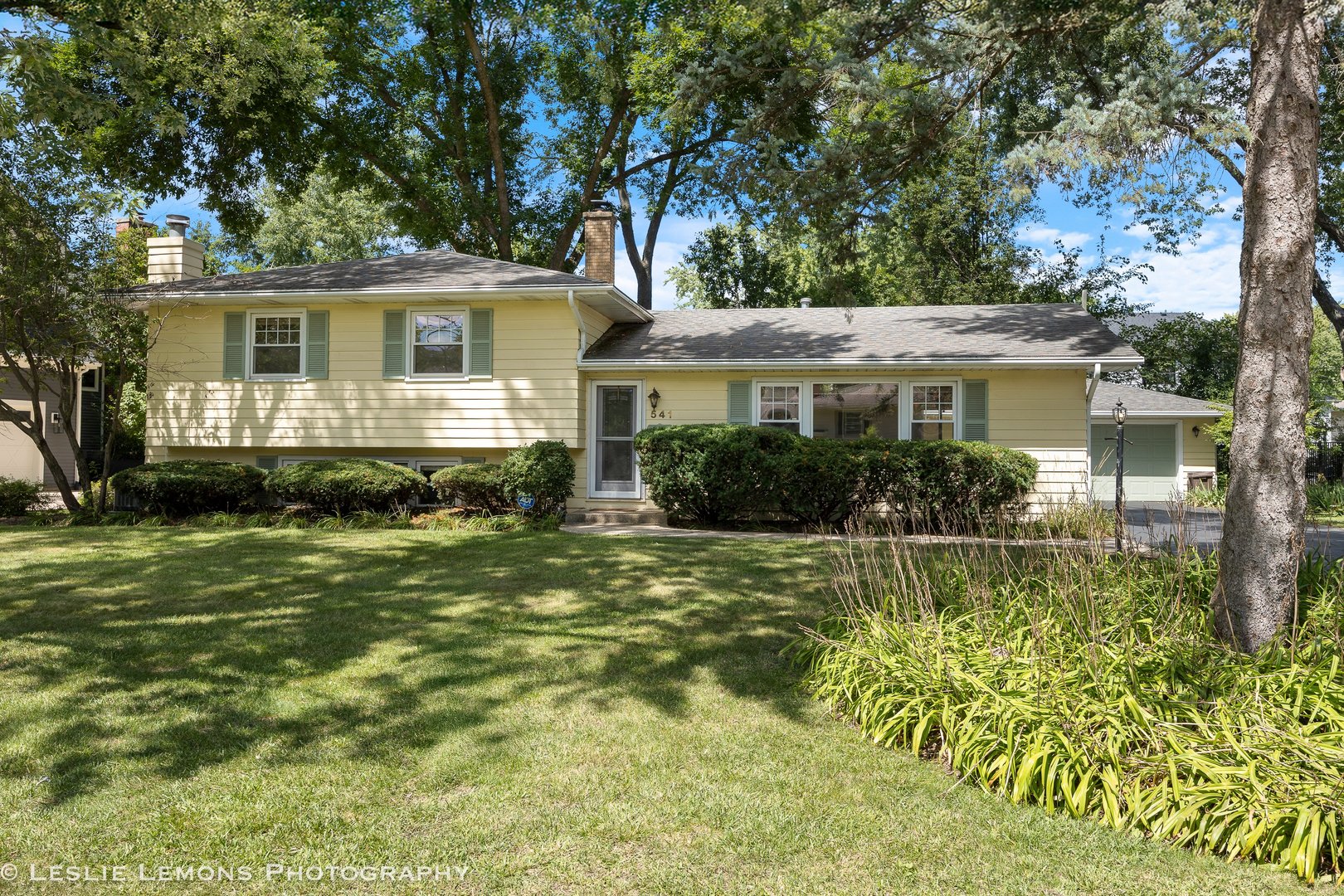 541 Cypress Drive, Naperville, IL 60540