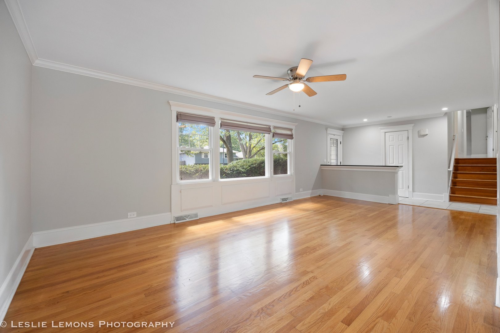 541 Cypress Drive, Naperville, IL 60540