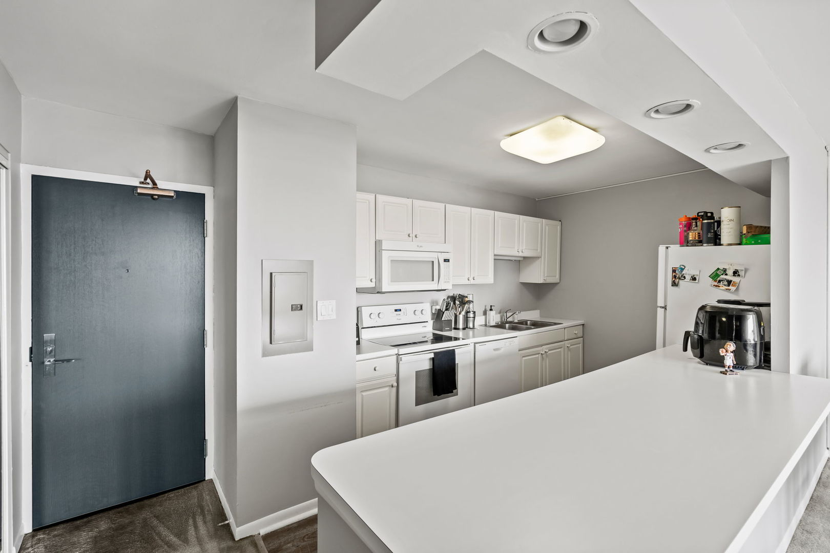 3930 N Pine Grove Avenue #2010, Chicago, IL 60613
