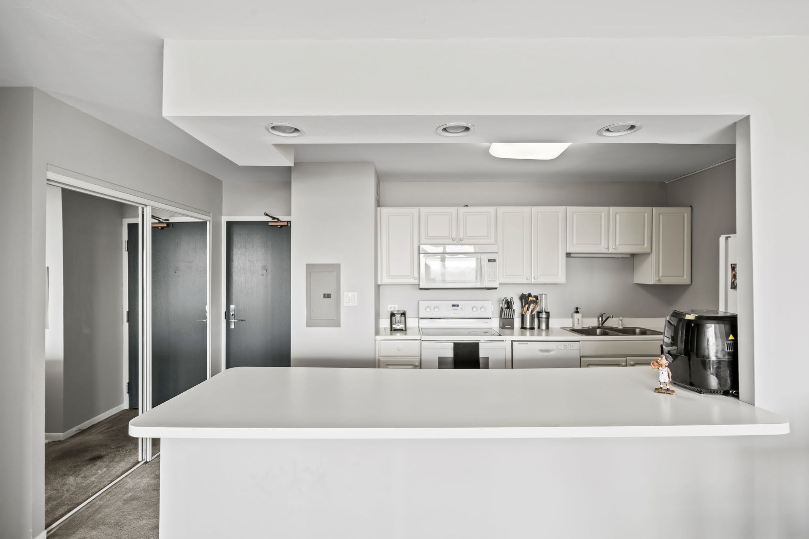 3930 N Pine Grove Avenue #2010, Chicago, IL 60613