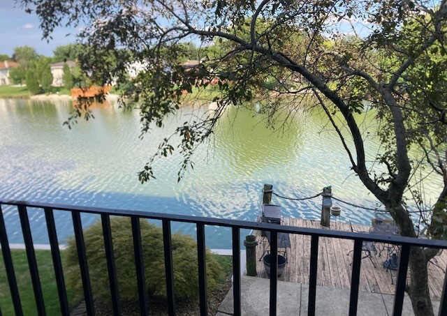 19501 Lake Shore Drive #2S, Lynwood, IL 60411