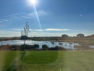 168 Piper Glen Avenue, Oswego, IL 60543