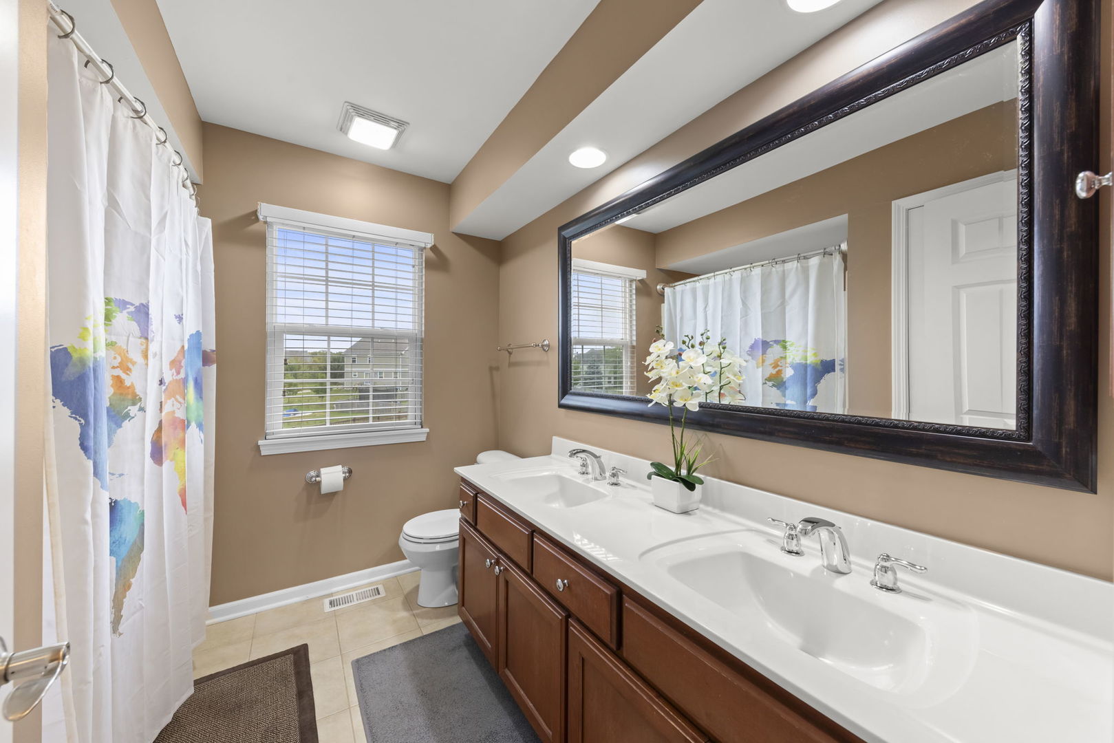 13521 Arborview Circle, Plainfield, IL 60585