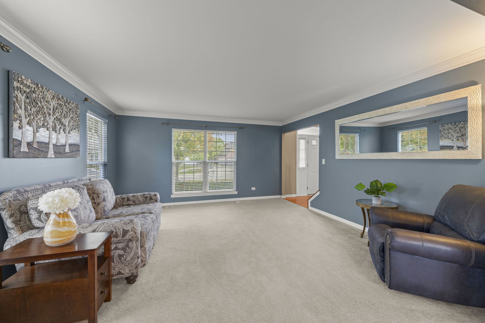 13521 Arborview Circle, Plainfield, IL 60585