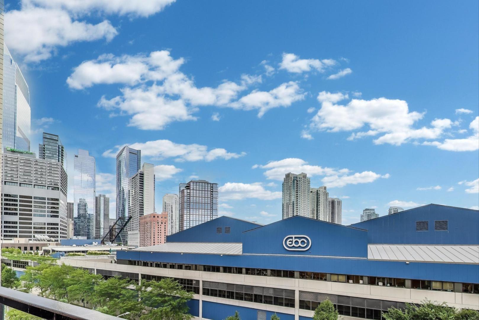 360 W Illinois Street #503, Chicago, IL 60654