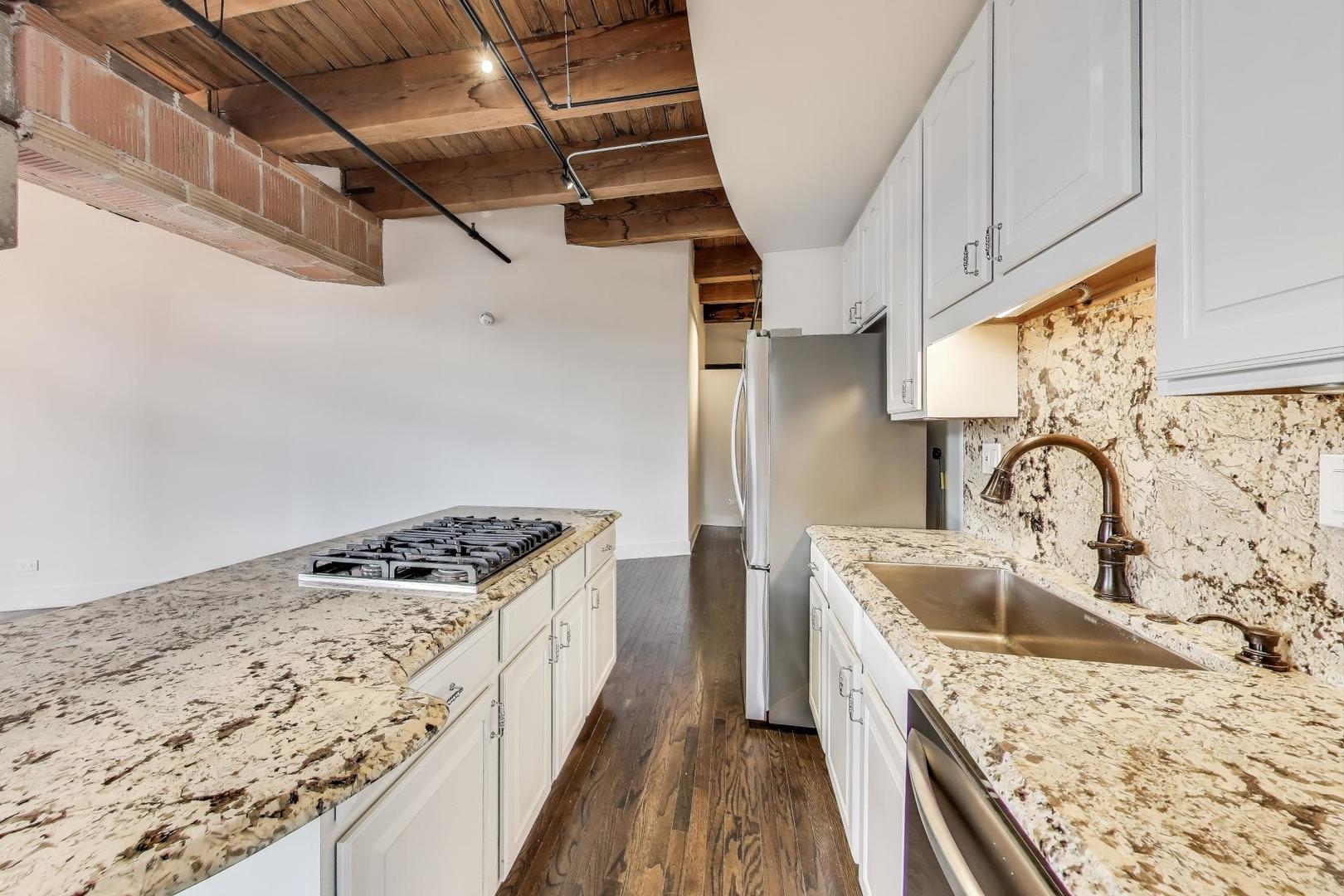 360 W Illinois Street #503, Chicago, IL 60654