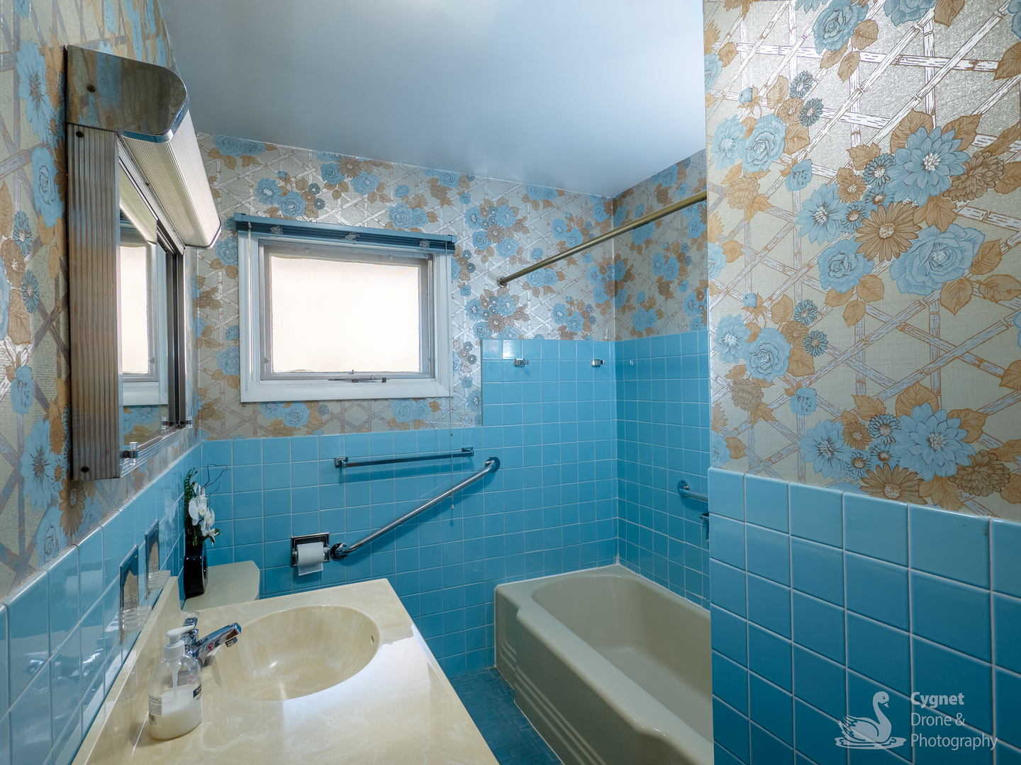 8748 N Olcott Avenue, Niles, IL 60714