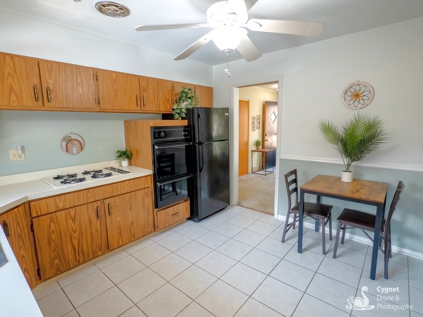 8748 N Olcott Avenue, Niles, IL 60714