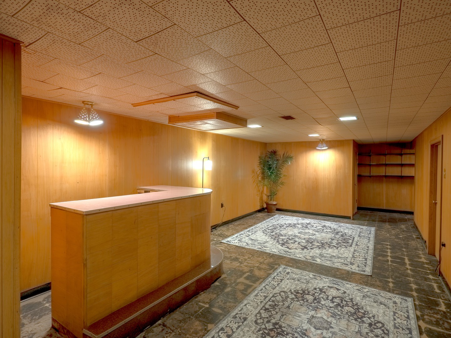 8748 N Olcott Avenue, Niles, IL 60714