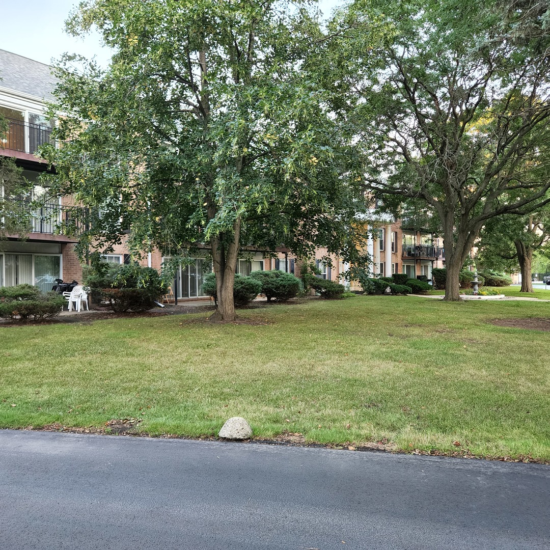 5300 Carriageway Drive #206, Rolling Meadows, IL 60008